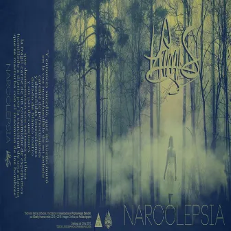 Narcolepsia by Hemis