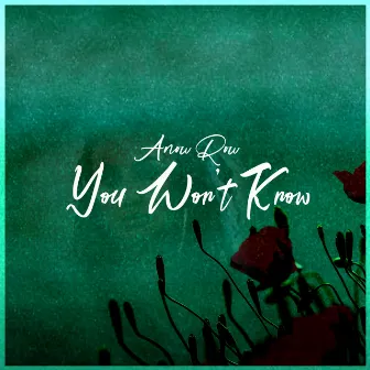 You Won't Know by Anou Ru