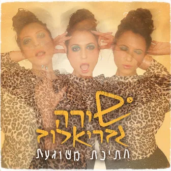 חתיכת משוגעת by Shira Gavrielov