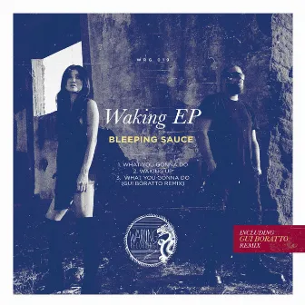 Waking Ep by Bleeping Sauce