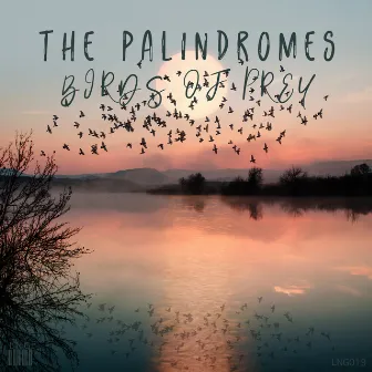 Birds Of Prey by The Palindromes