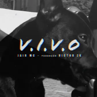 Vivo by Jair Mc