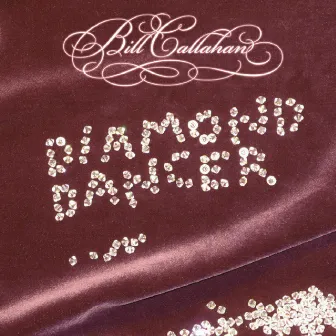 Diamond Dancer by Bill Callahan