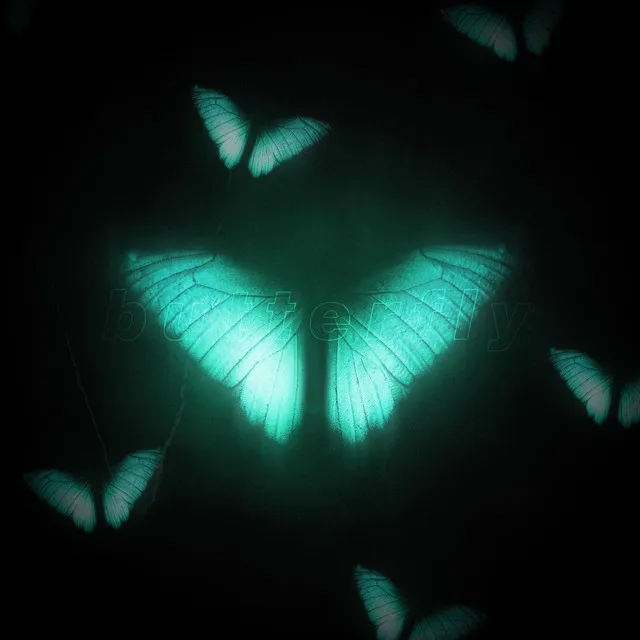 butterfly