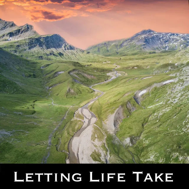 Letting Life Take