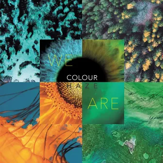 We Are by Colour Haze