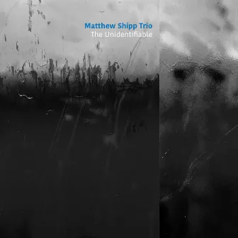 The Unidentifiable by Matthew Shipp Trio