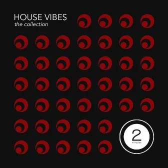 House Vibes (The Collection) by Luca Fregonese