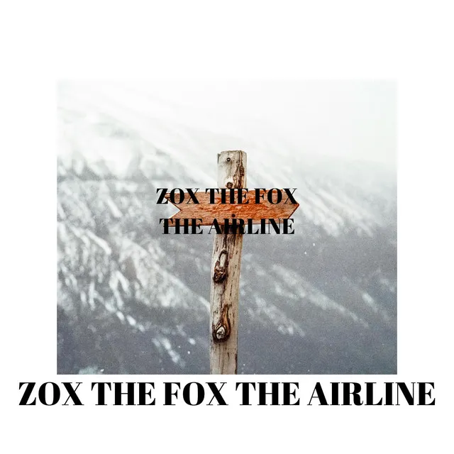 The Airline