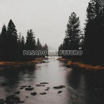 Pasado sin futuro by D-lorean