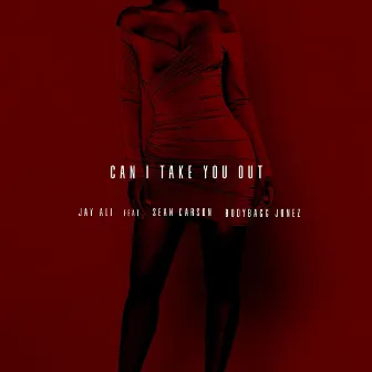 Can I Take You Out by Jay Ali