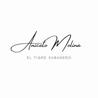 El Tigre Sabanero by Aniceto Molina