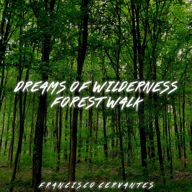 Dreams Of Wilderness / Forest Walk