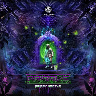 Drippy Nectar by Dribble