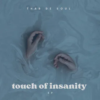 Touch Of Insanity EP by Thab De Soul