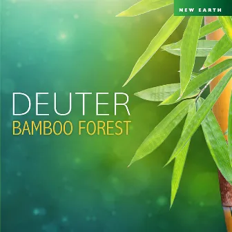 Bamboo Forest by Deuter