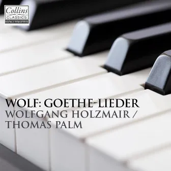 Wolf: Goethe Lieder by Wofgang Holzmair