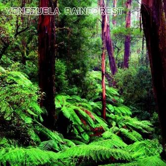 Venezuela Rainforest by Nature Sounds New Age