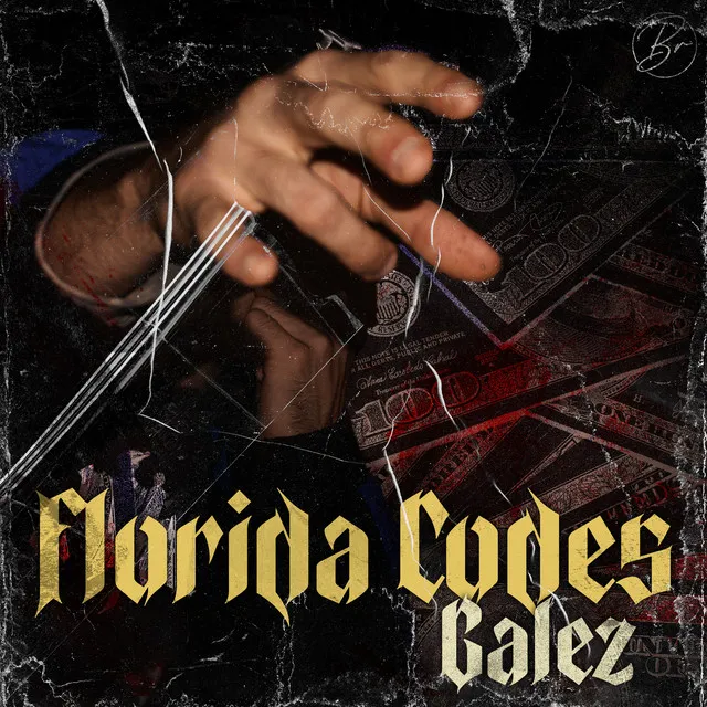 Florida Codes