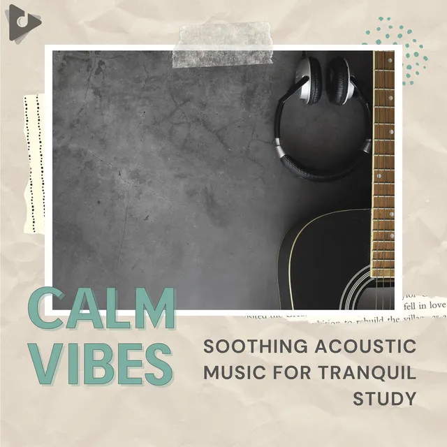 Soothing Acoustic Music for Tranquil Study