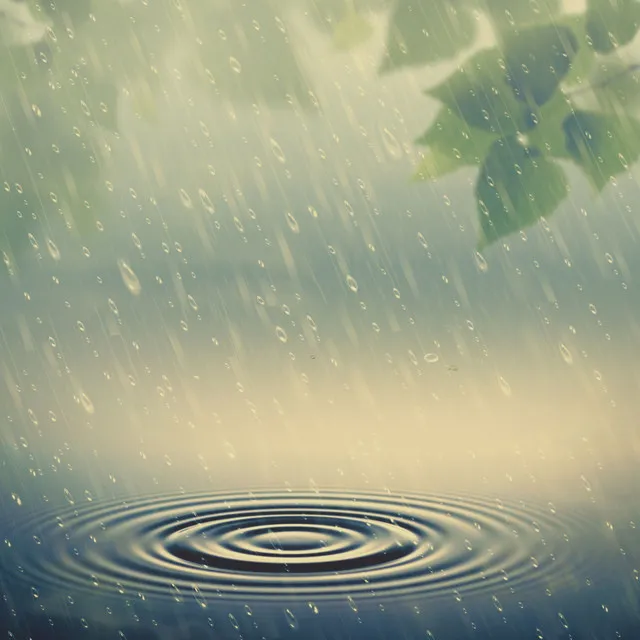 Droplets Meditation Rain Ease