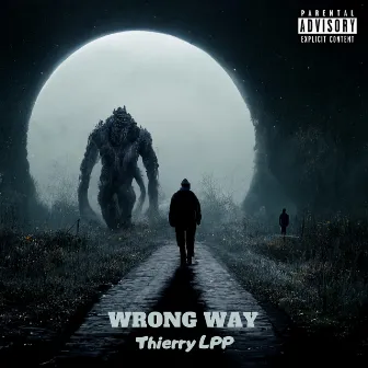 Wrong Way by Lieppe Thierry