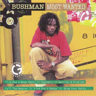 Most Wanted by Bushman