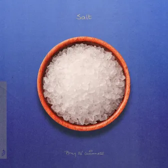 Salt by Tony McGuinness