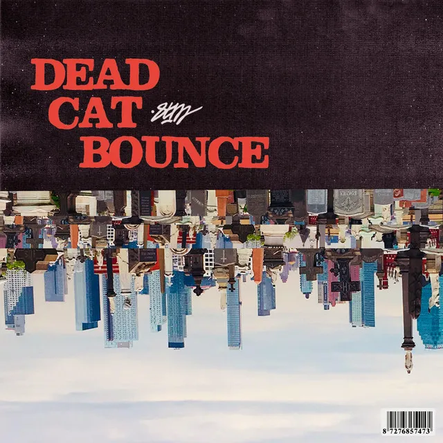 Dead Cat Bounce