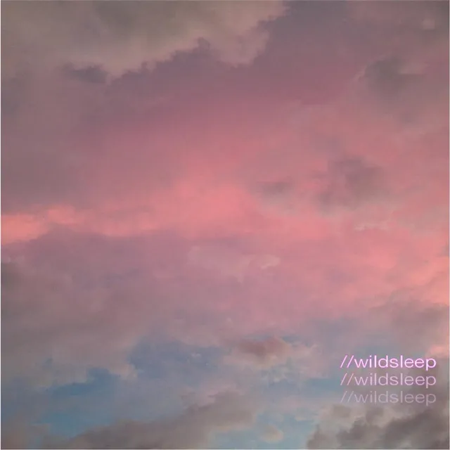 //Wildsleep