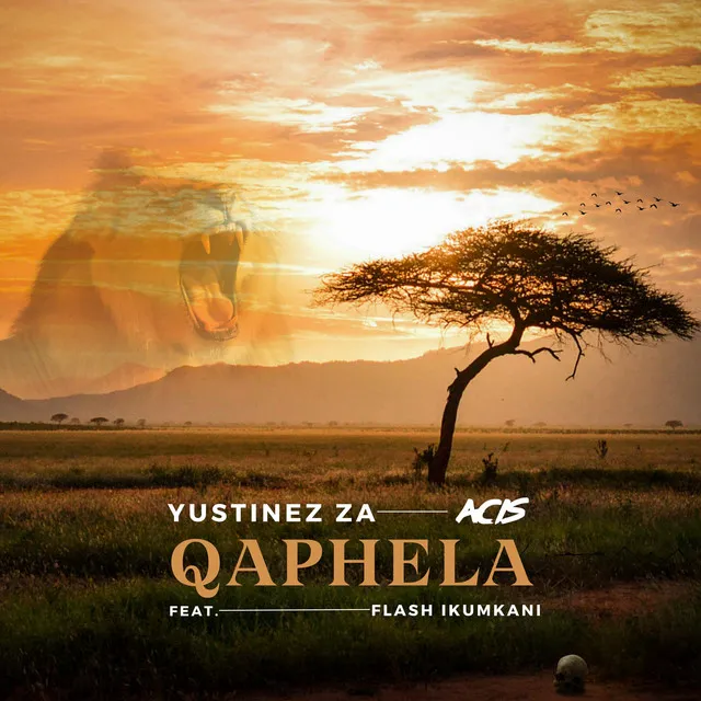 Qaphela