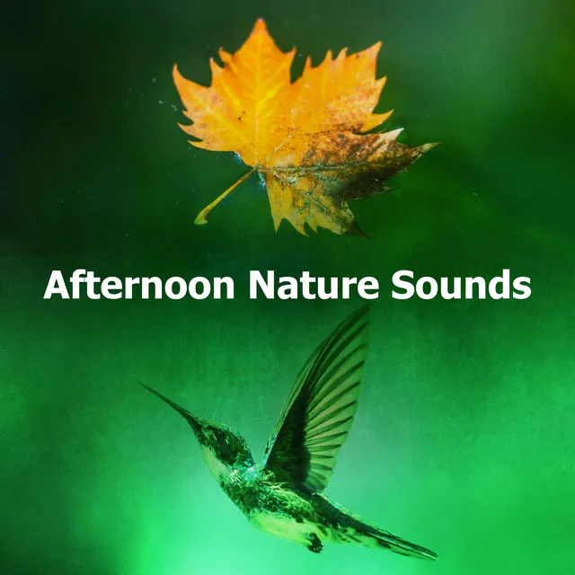 Afternoon Nature Sounds