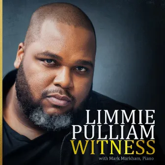 Witness by Limmie Pulliam