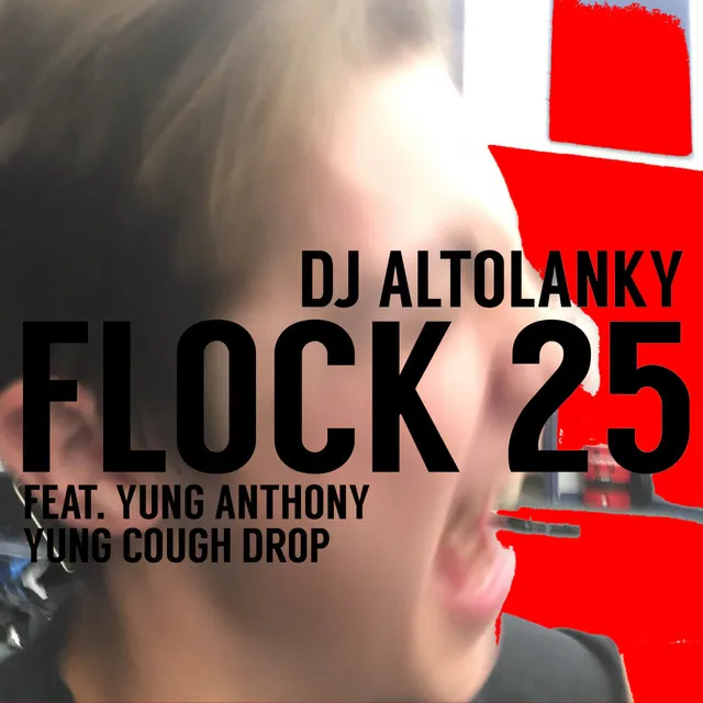 Flock 25