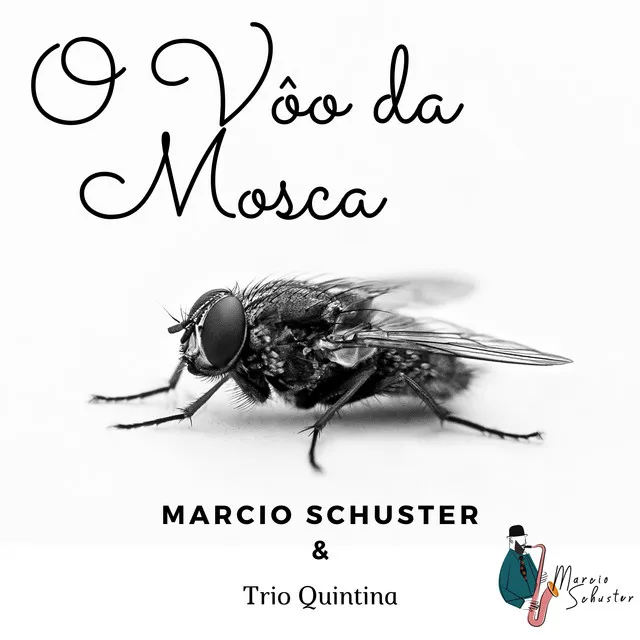 O Vôo Da Mosca