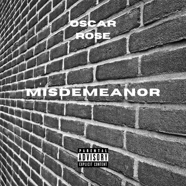 Misdemeanor