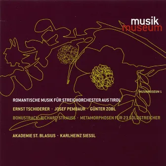 Romantische Musik fur Streichorchester aus Tirol by Karlheinz Essl