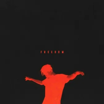 Freedom by 