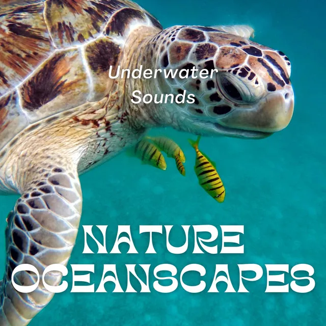 Underwater Sounds with Nature Oceanscapes