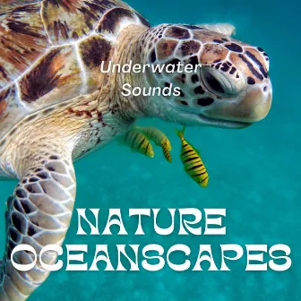 Underwater Sounds with Nature Oceanscapes by Underwater Sounds Channel