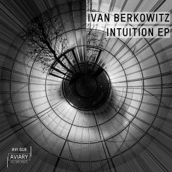 Intuition by Ivan Berkowitz