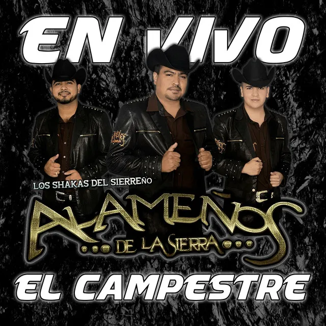 En Vivo El Campestre