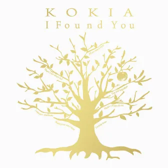 I Found You by KOKIA