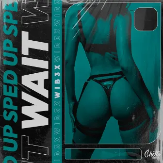 Wait (Sped Up) by WIB3X