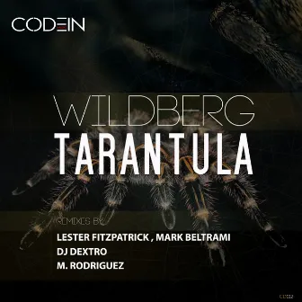 Tarantula by Wildberg