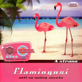 Seti Se Našeg Zaveta by Flamingosi