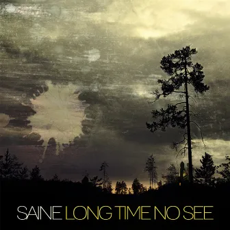 Long Time No See by Saine