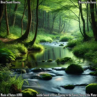 Gentle Sound of River Flowing in the Forest, Song of the Water by Noise in the Forest