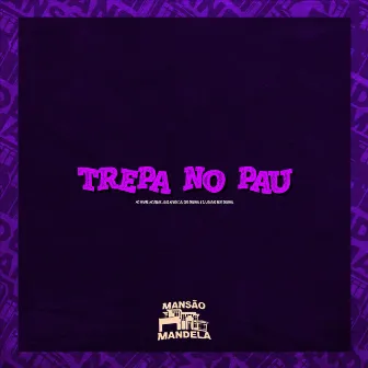 Trepa no Pau by MC VN 085