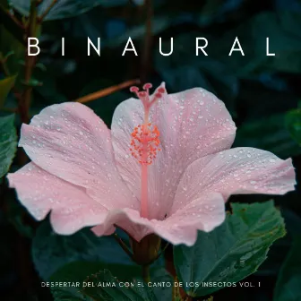 Binaural: Despertar Del Alma Con El Canto De Los Insectos Vol. 1 by Tiempo de relajación natural